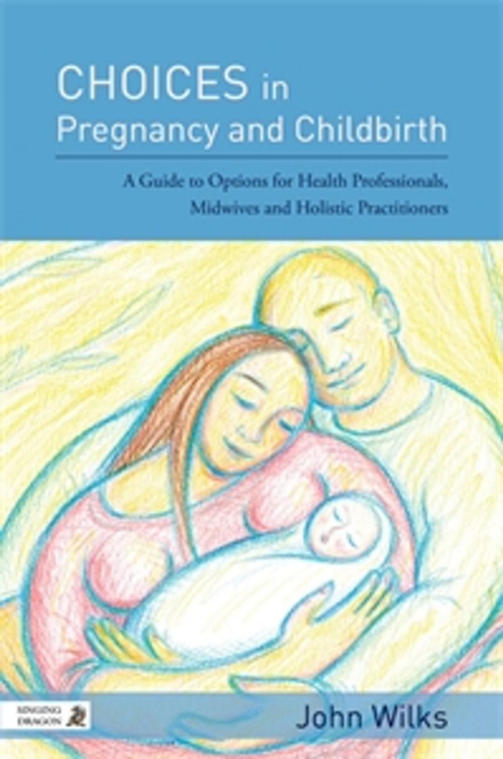 Big bigCover of Choices in Pregnancy and Childbirth