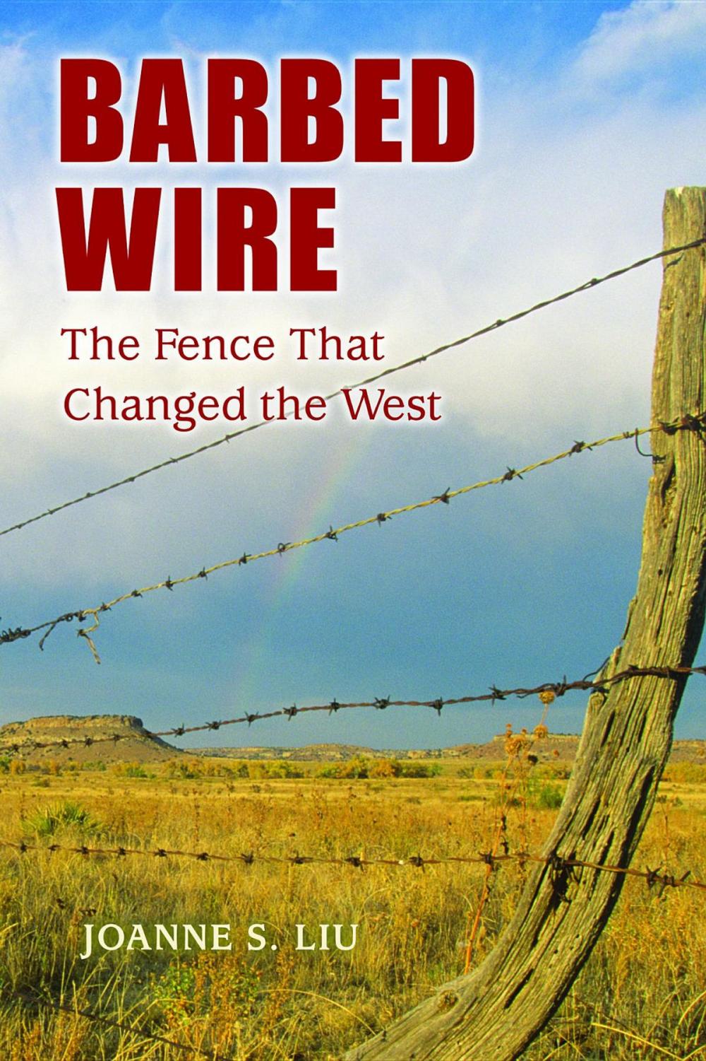 Big bigCover of Barbed Wire