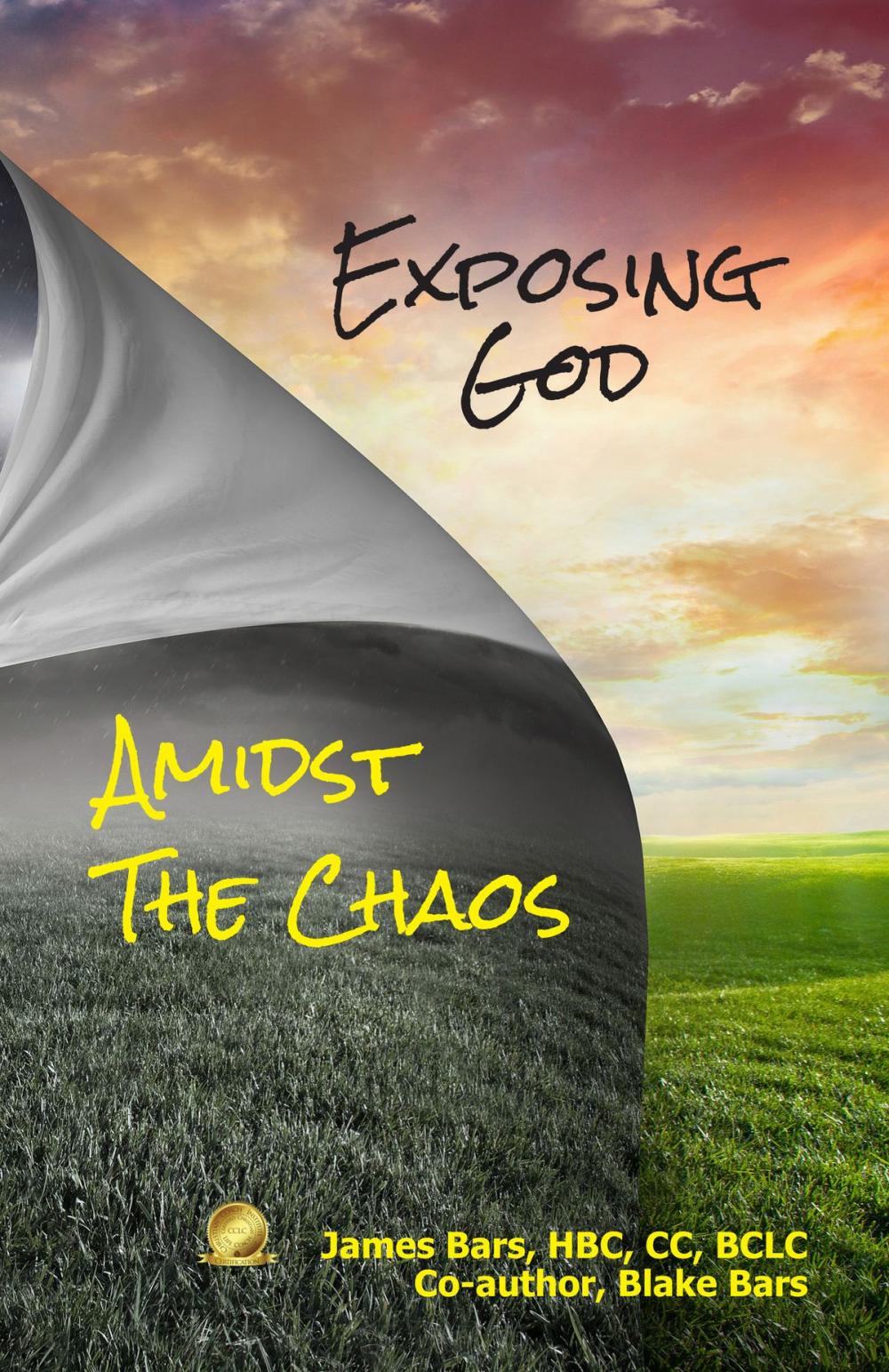 Big bigCover of Exposing God Amidst the Chaos