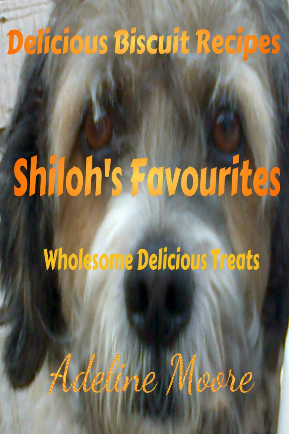 Big bigCover of Shilohs Favourites