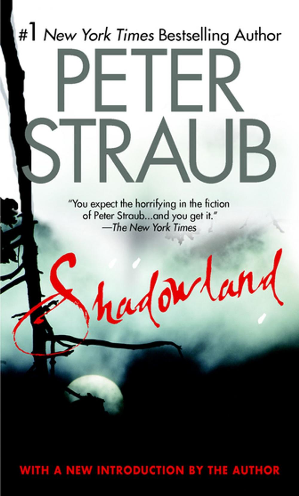 Big bigCover of Shadowland