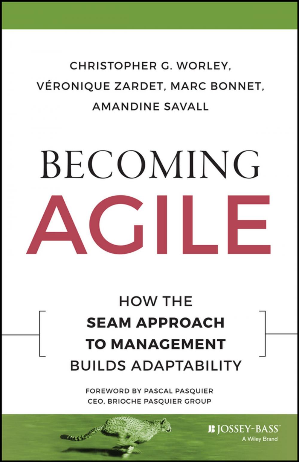 Big bigCover of Becoming Agile