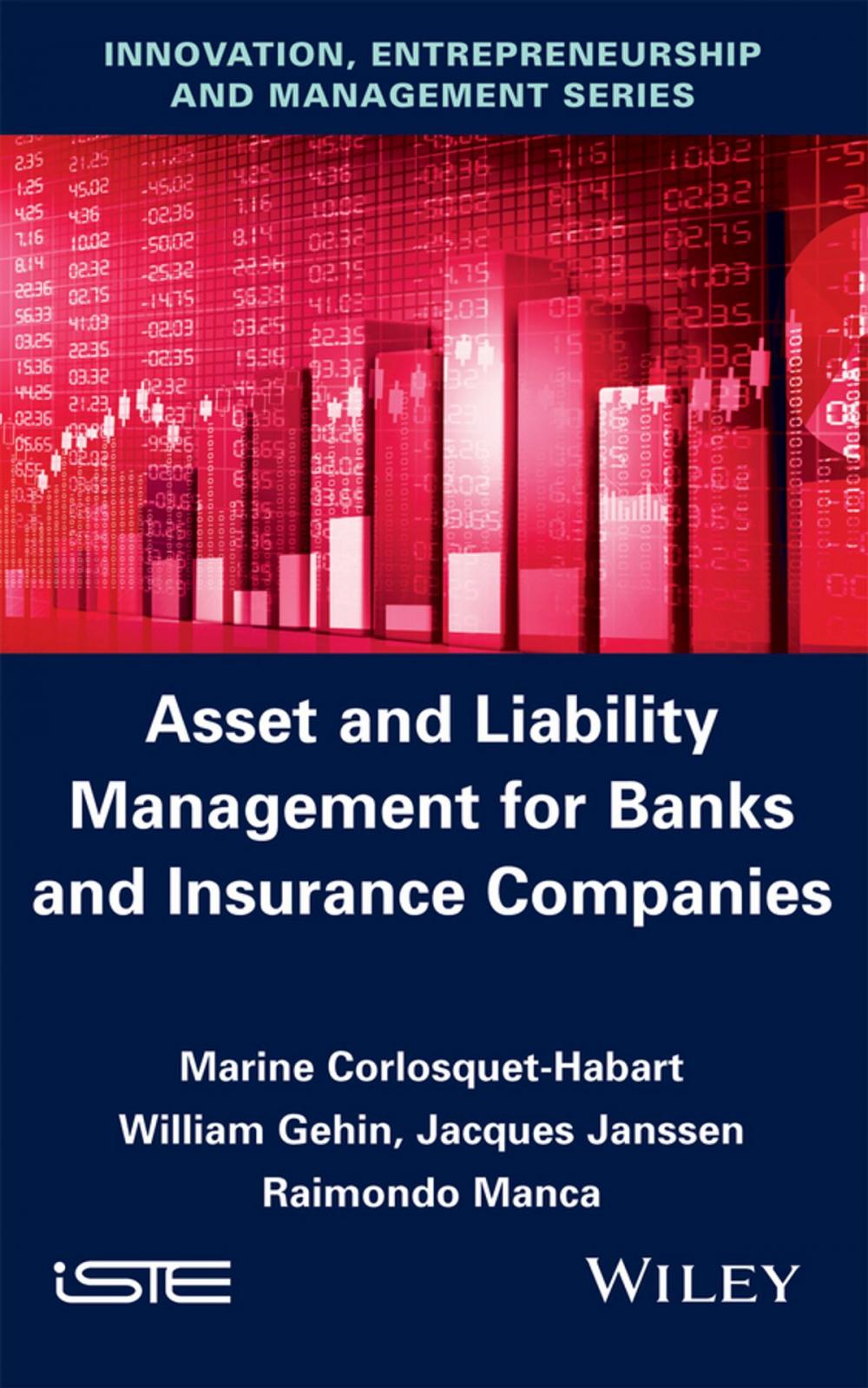 Big bigCover of Asset and Liability Management for Banks and Insurance Companies