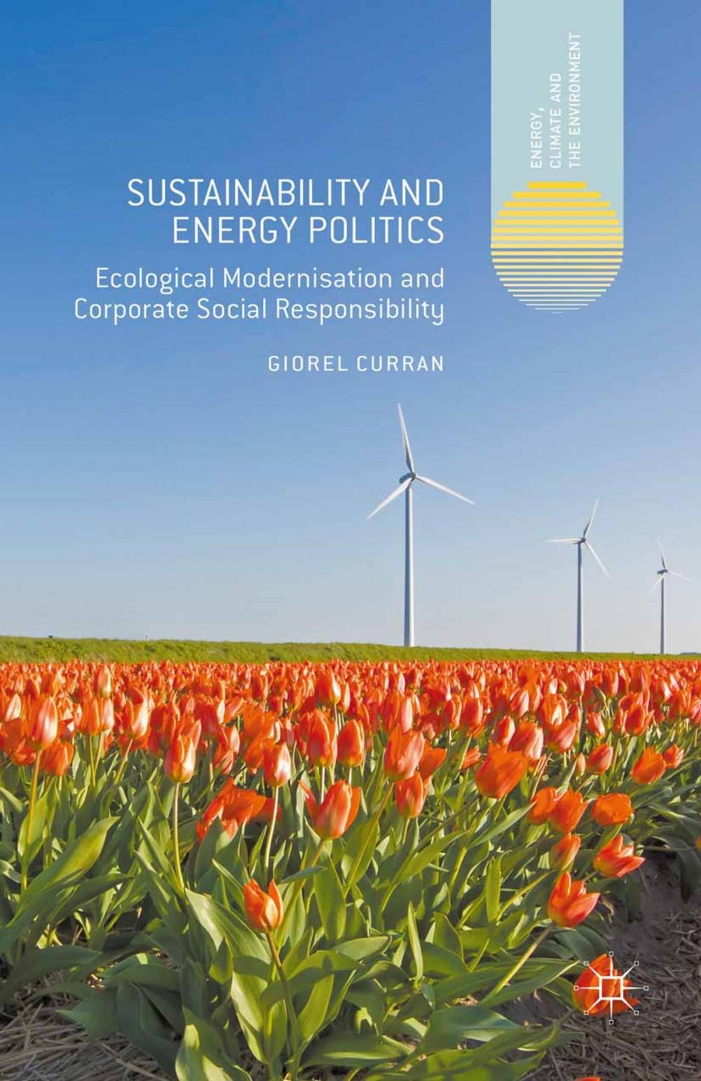 Big bigCover of Sustainability and Energy Politics