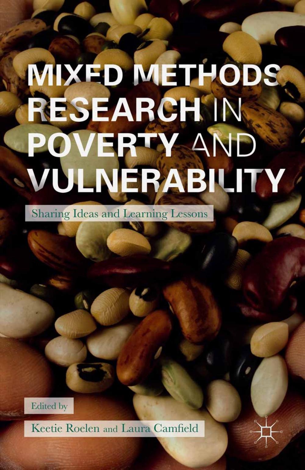 Big bigCover of Mixed Methods Research in Poverty and Vulnerability