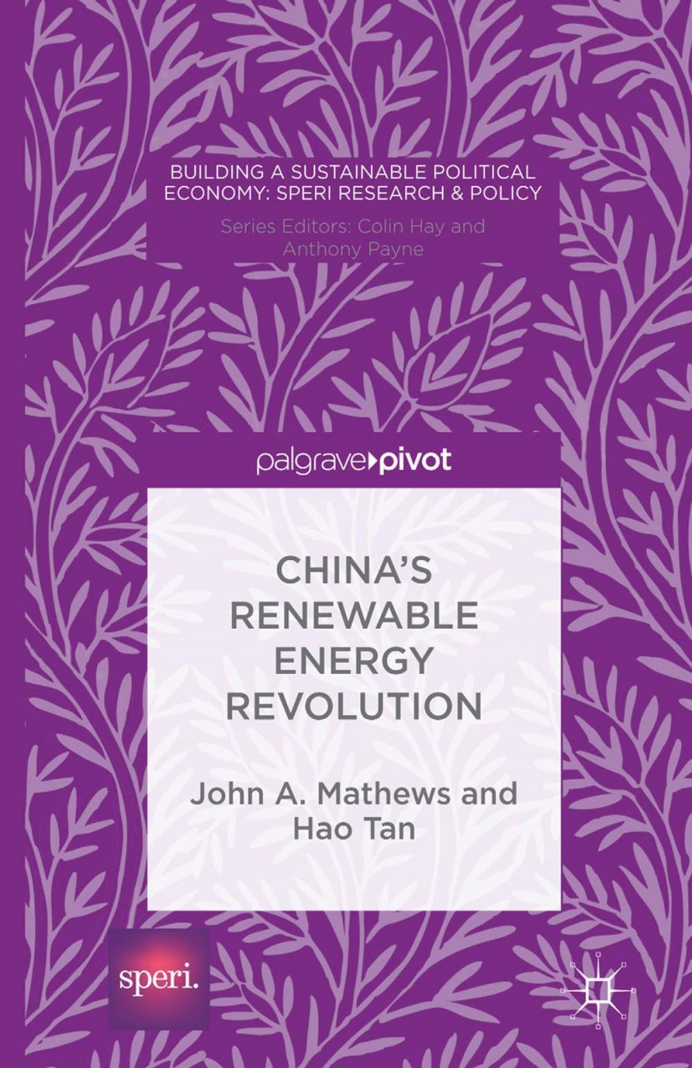 Big bigCover of China’s Renewable Energy Revolution