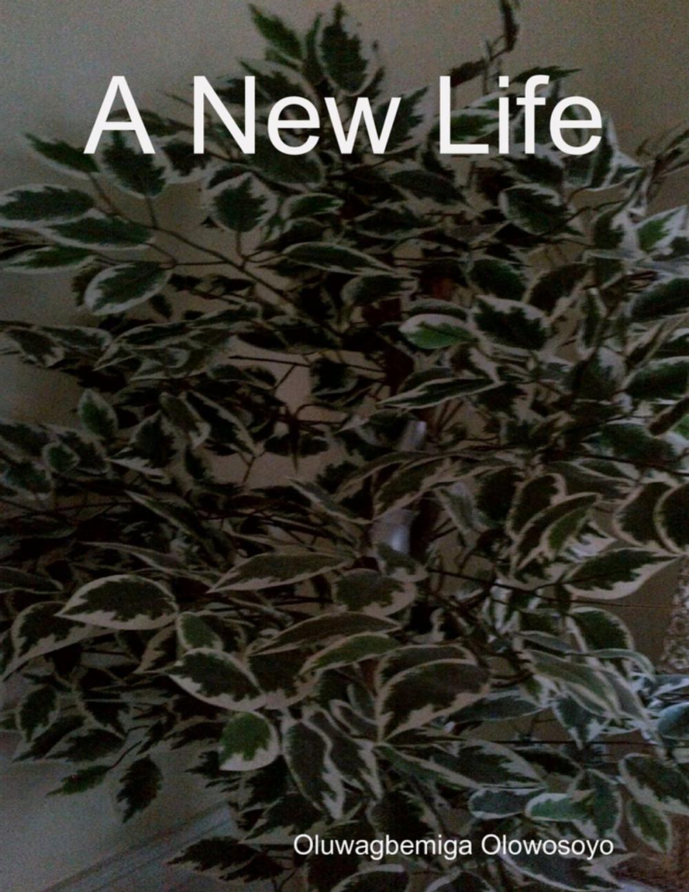 Big bigCover of A New Life