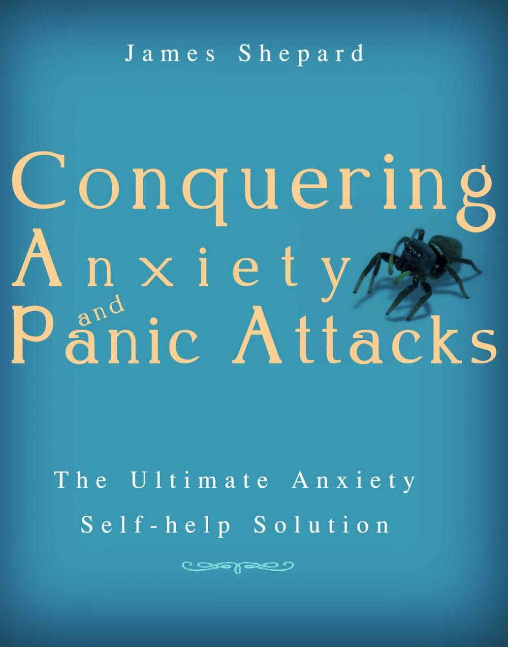 Big bigCover of Conquering Anxiety And Panic Attacks!: The Ultimate Anxiety Solution and Self Help Book