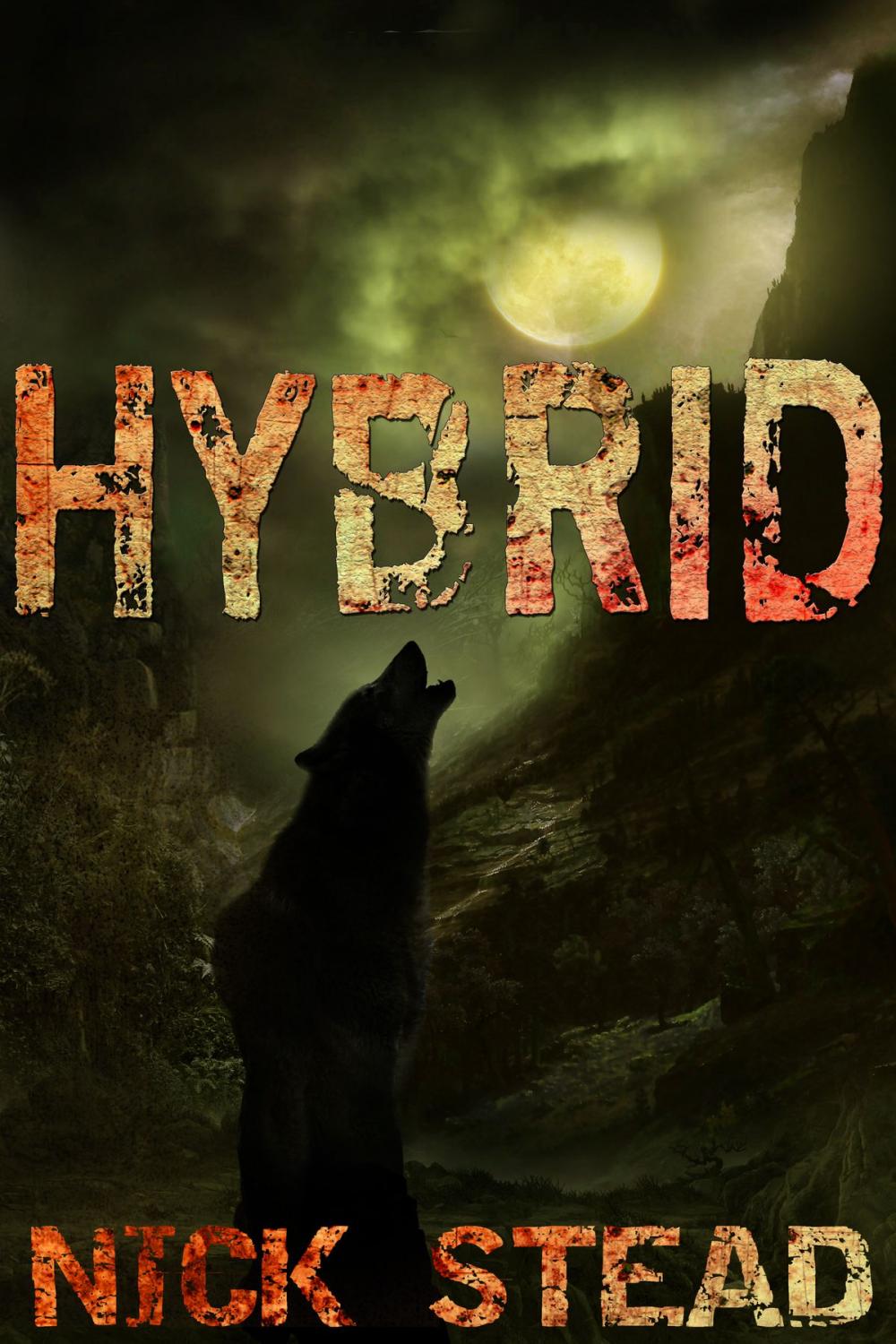 Big bigCover of Hybrid