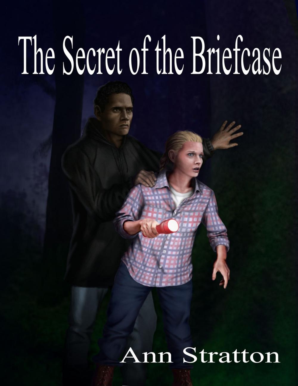 Big bigCover of The Secret of the Briefcase