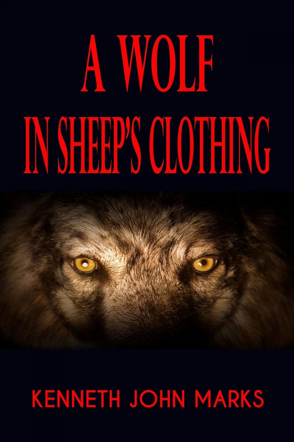 Big bigCover of A Wolf in Sheep's Clothing