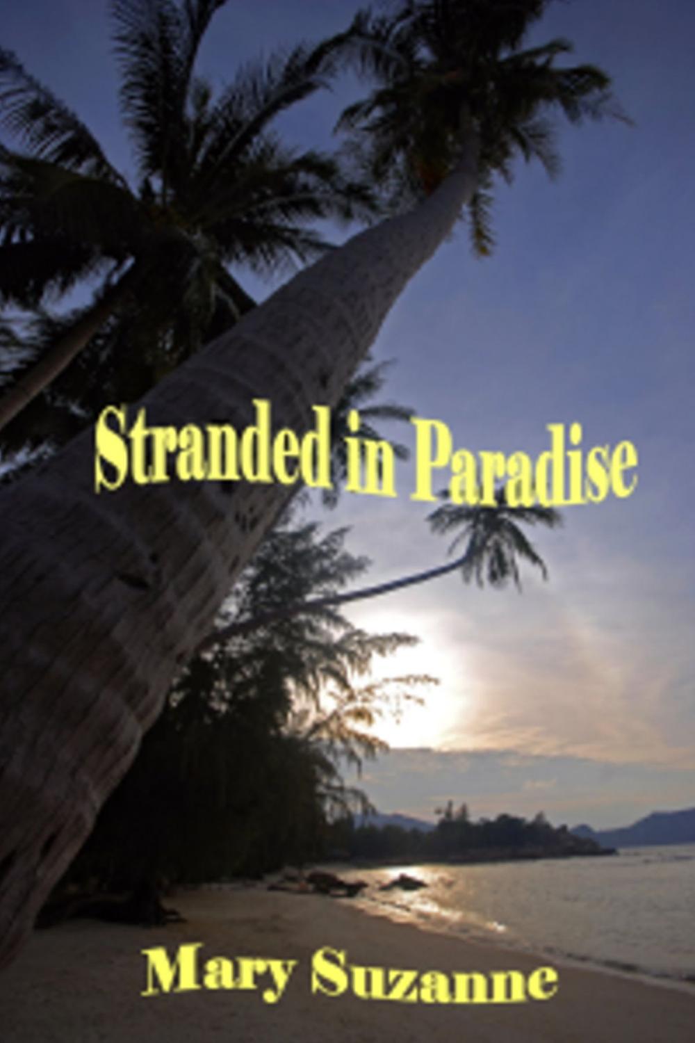 Big bigCover of Stranded in Paradise