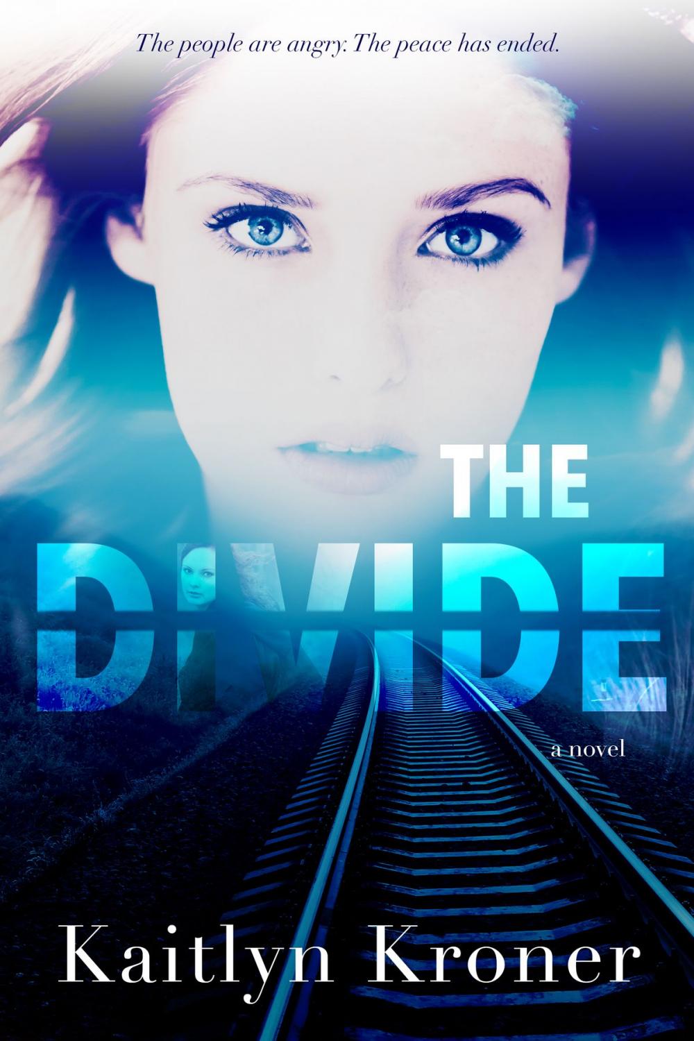 Big bigCover of The Divide