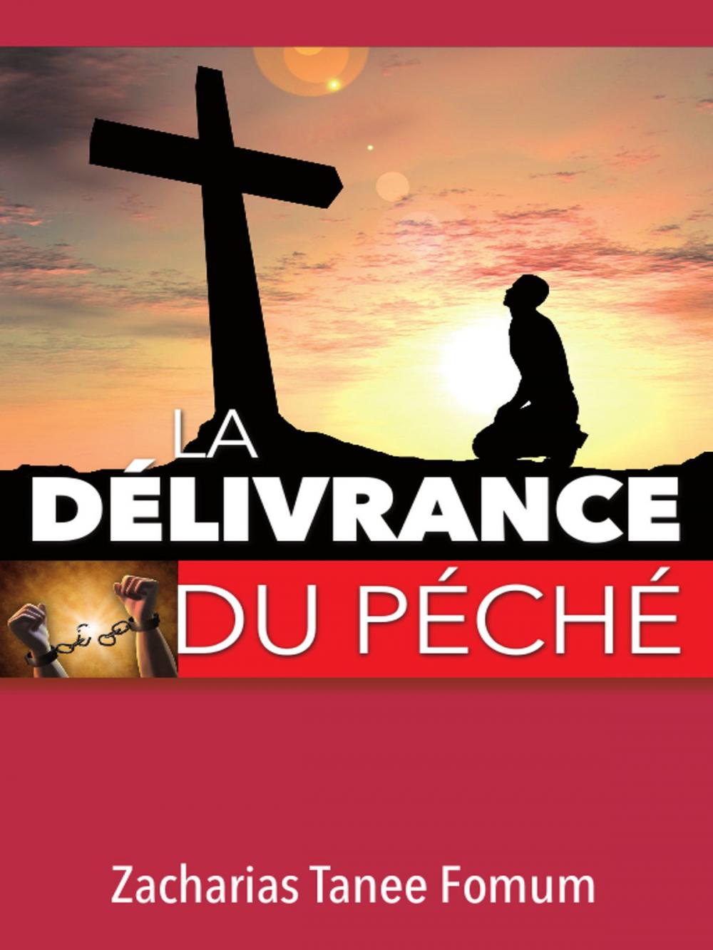 Big bigCover of La Délivrance Du Péché