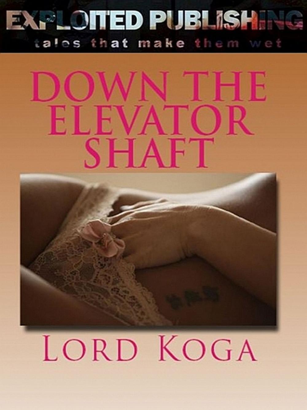 Big bigCover of Down the Elevator Shaft