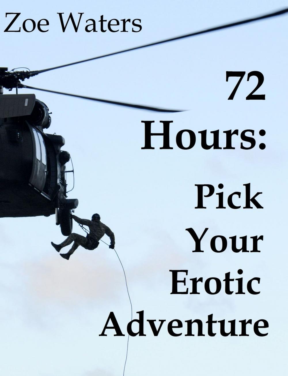 Big bigCover of 72 Hours: Pick Your Erotic Adventure