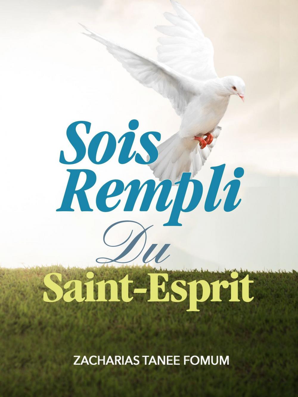 Big bigCover of Sois Rempli du Saint-Esprit