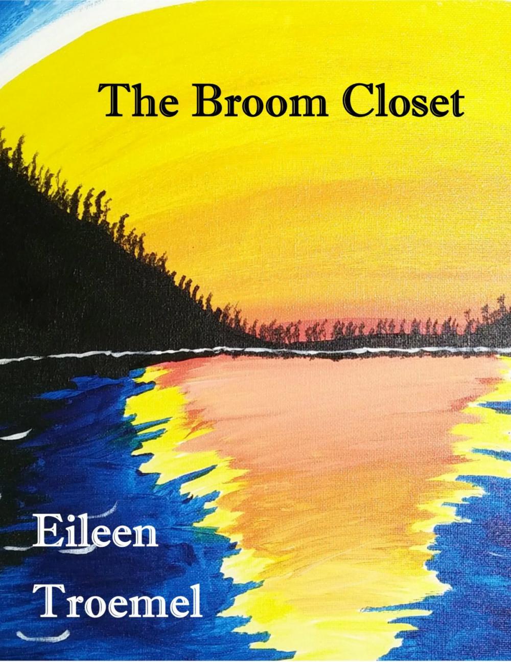 Big bigCover of The Broom Closet