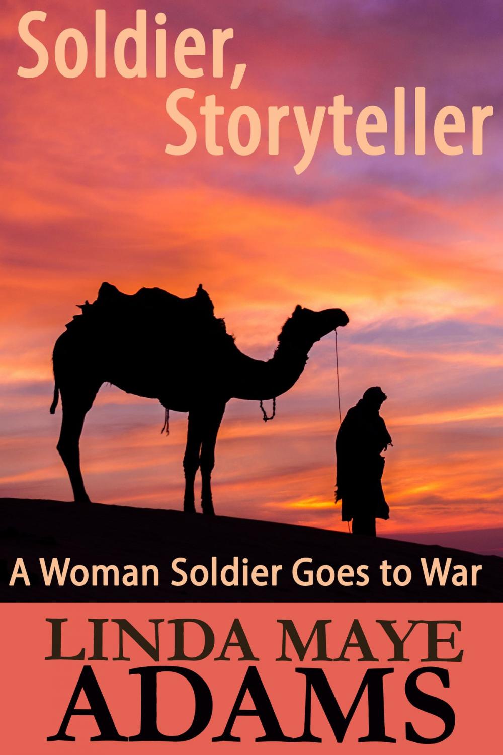 Big bigCover of Soldier, Storyteller: A Woman Soldier Goes to War