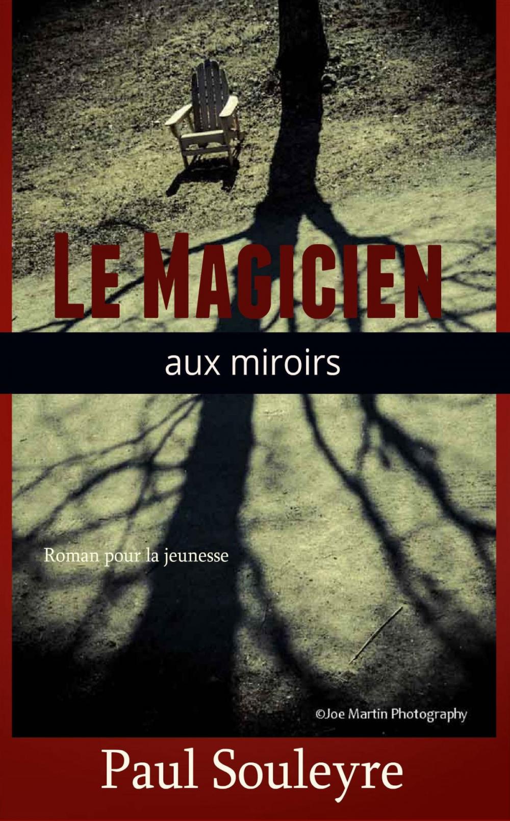 Big bigCover of Le Magicien aux miroirs