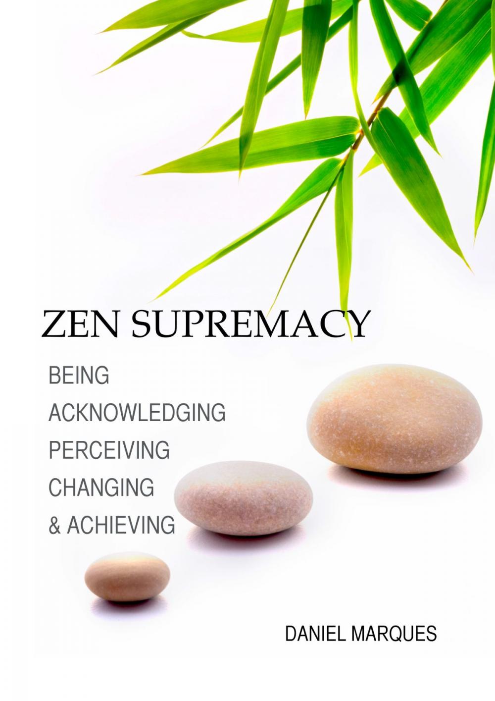 Big bigCover of Zen Supremacy: Being, Acknowledging, Perceiving, Changing and Achieving