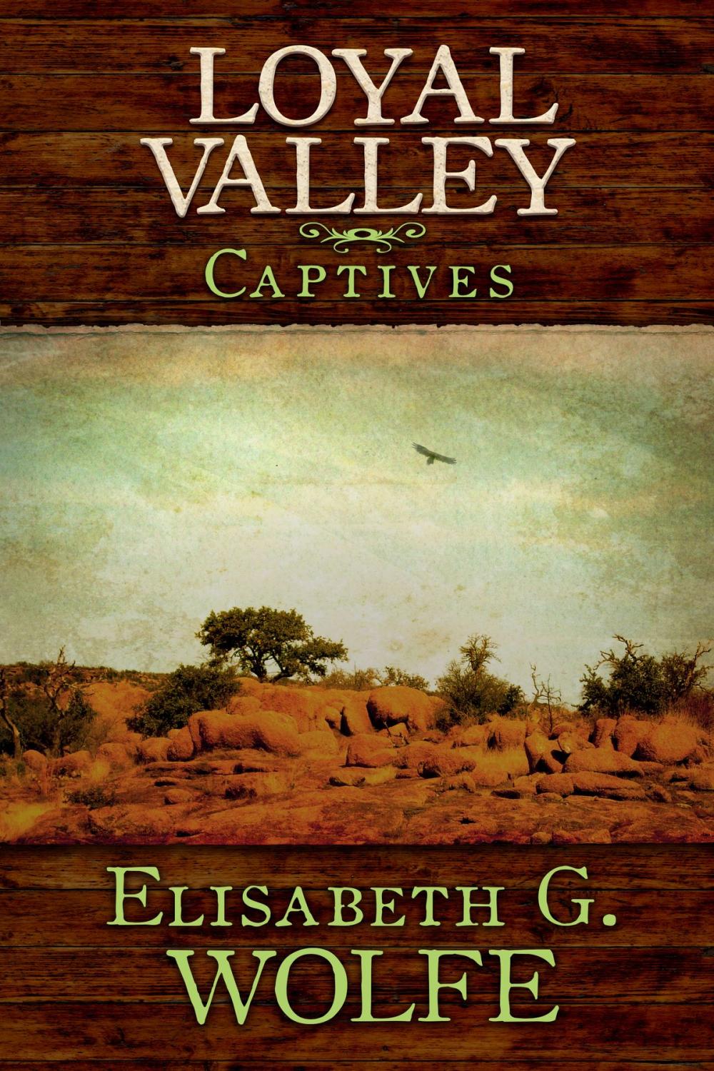 Big bigCover of Loyal Valley: Captives