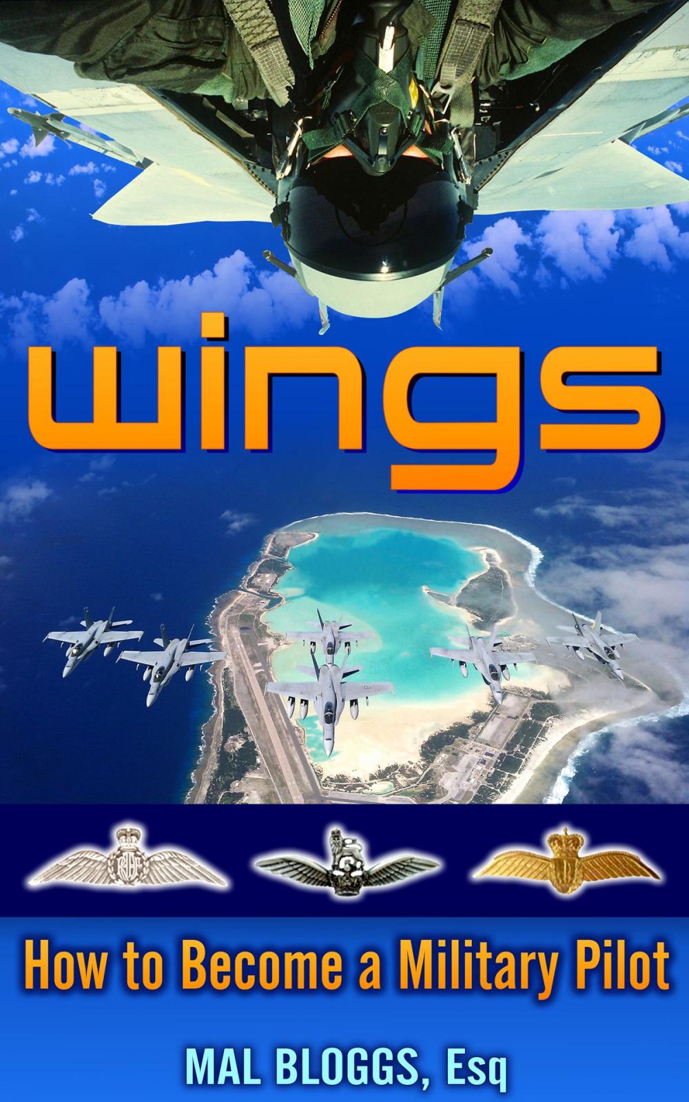 Big bigCover of Wings