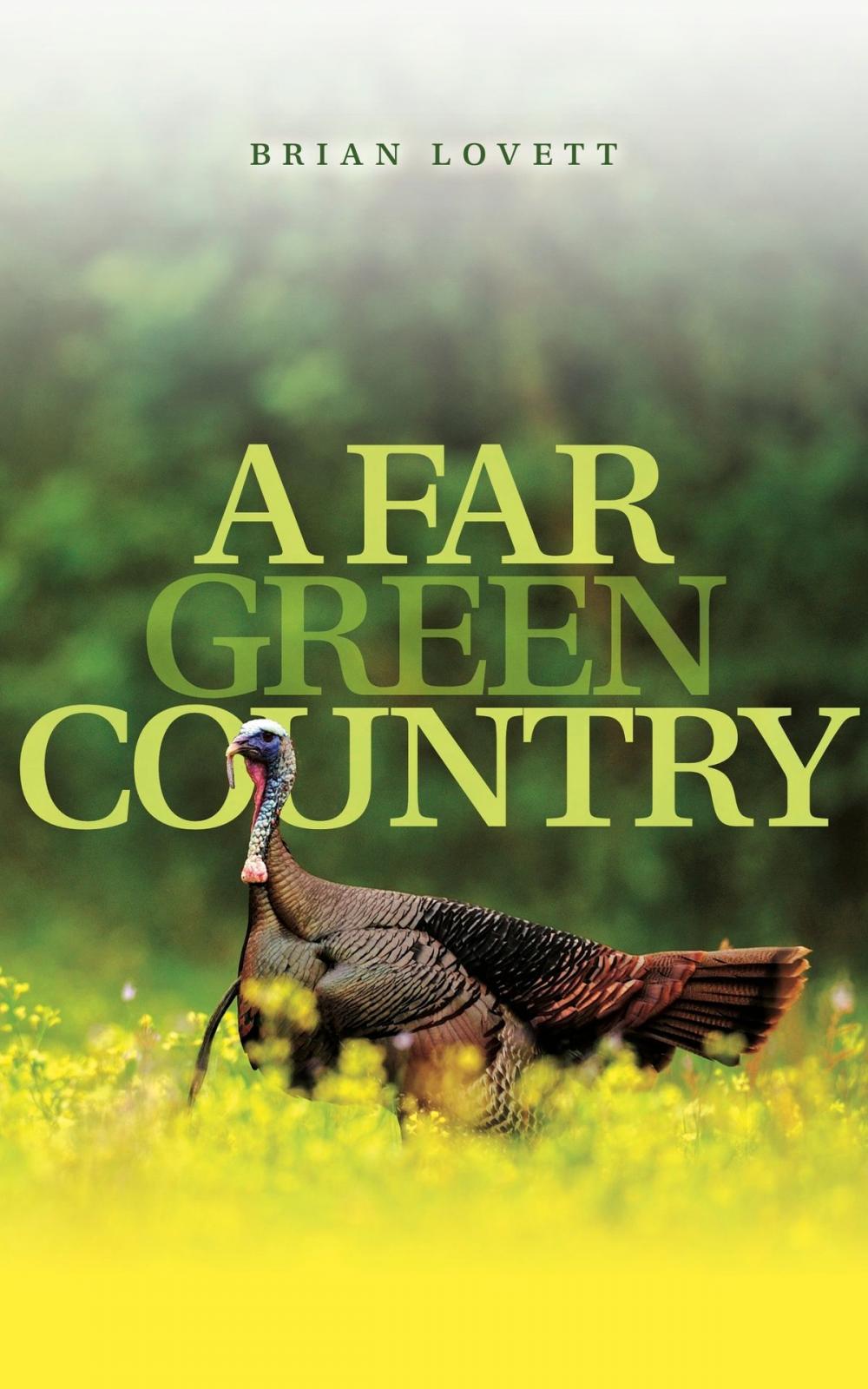 Big bigCover of A Far Green Country