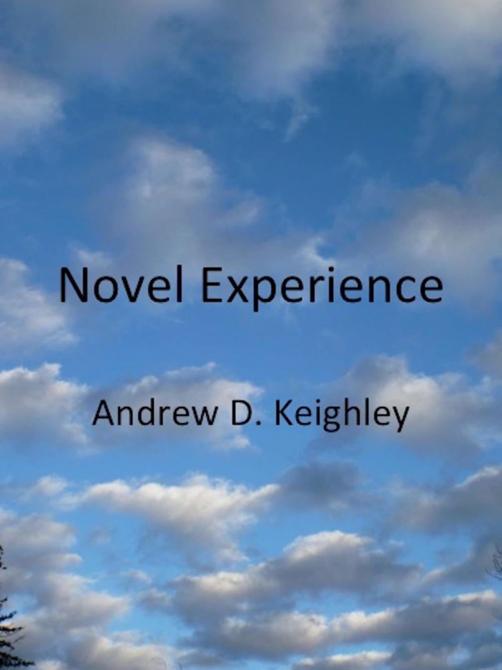 Big bigCover of Novel Experience