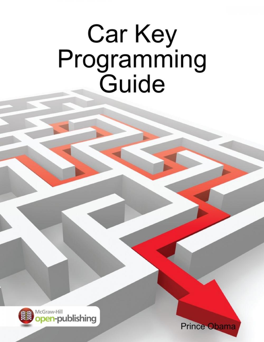 Big bigCover of Car Key Programming Guide