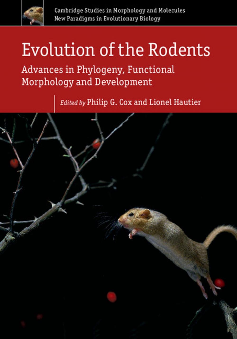 Big bigCover of Evolution of the Rodents: Volume 5