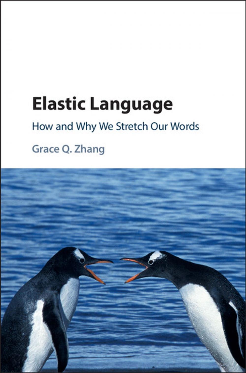 Big bigCover of Elastic Language