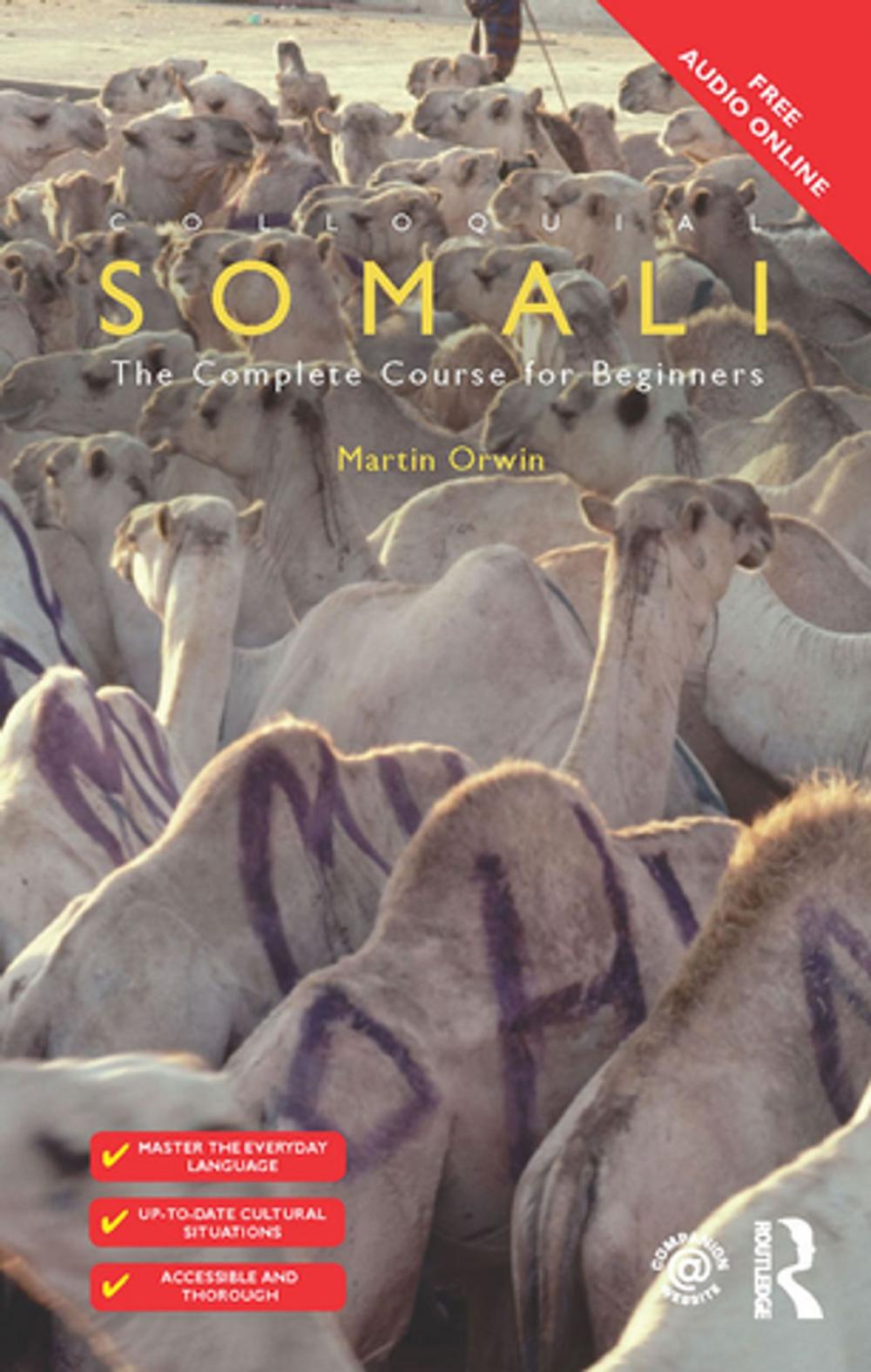 Big bigCover of Colloquial Somali