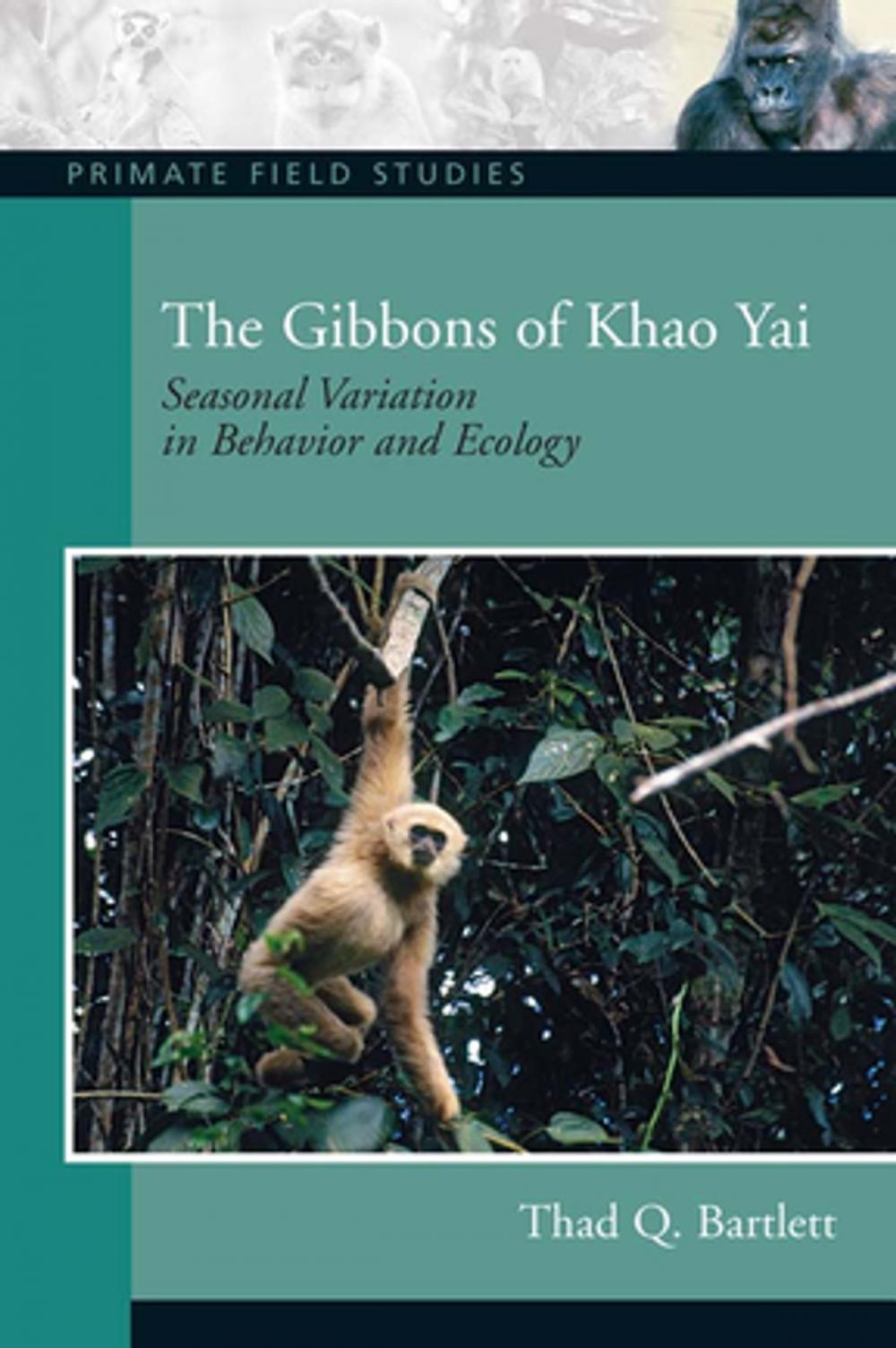 Big bigCover of The Gibbons of Khao Yai