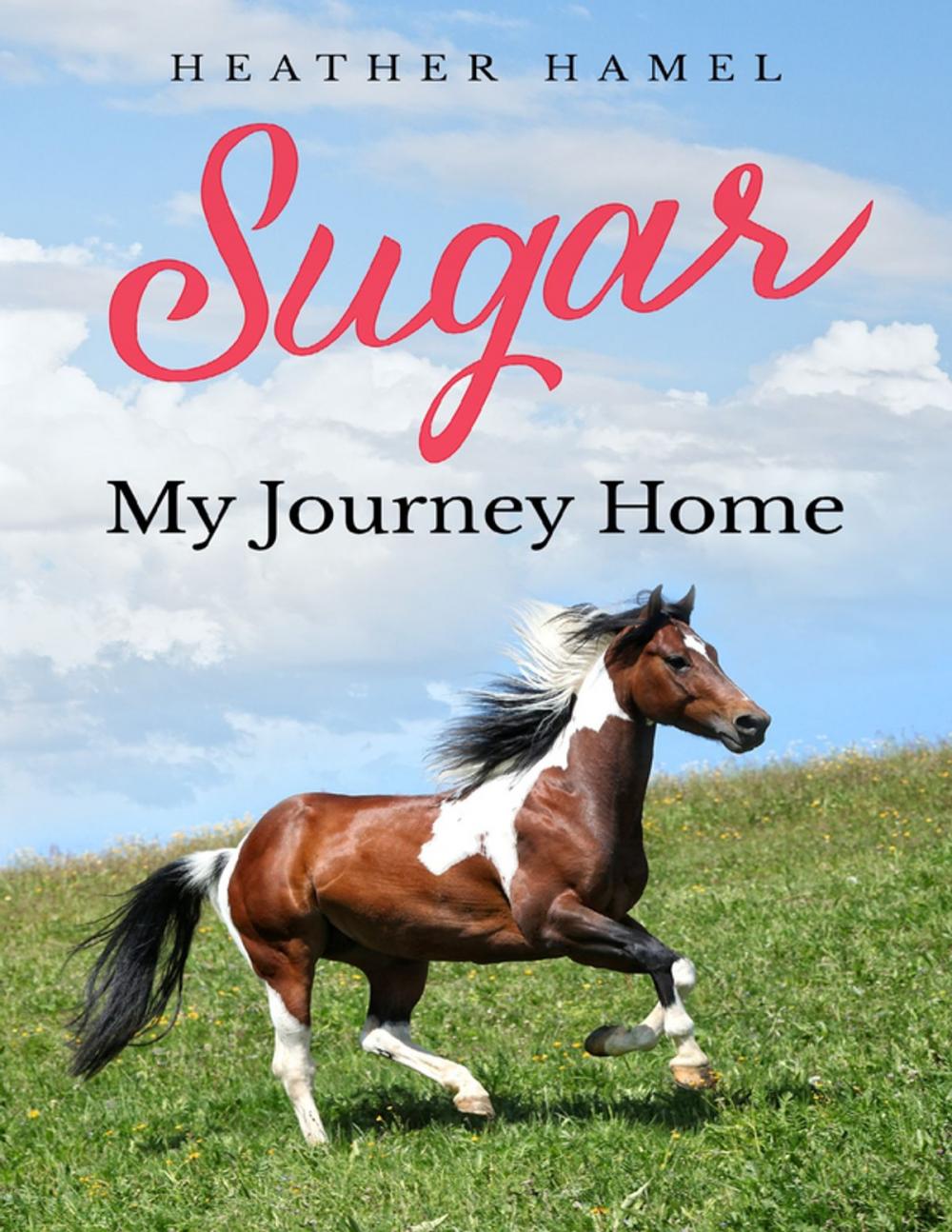 Big bigCover of Sugar: My Journey Home