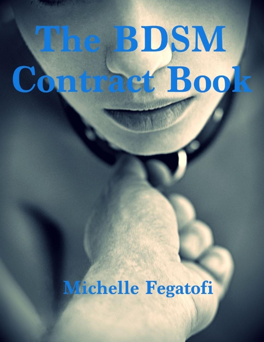 Big bigCover of The Bdsm Contract Book