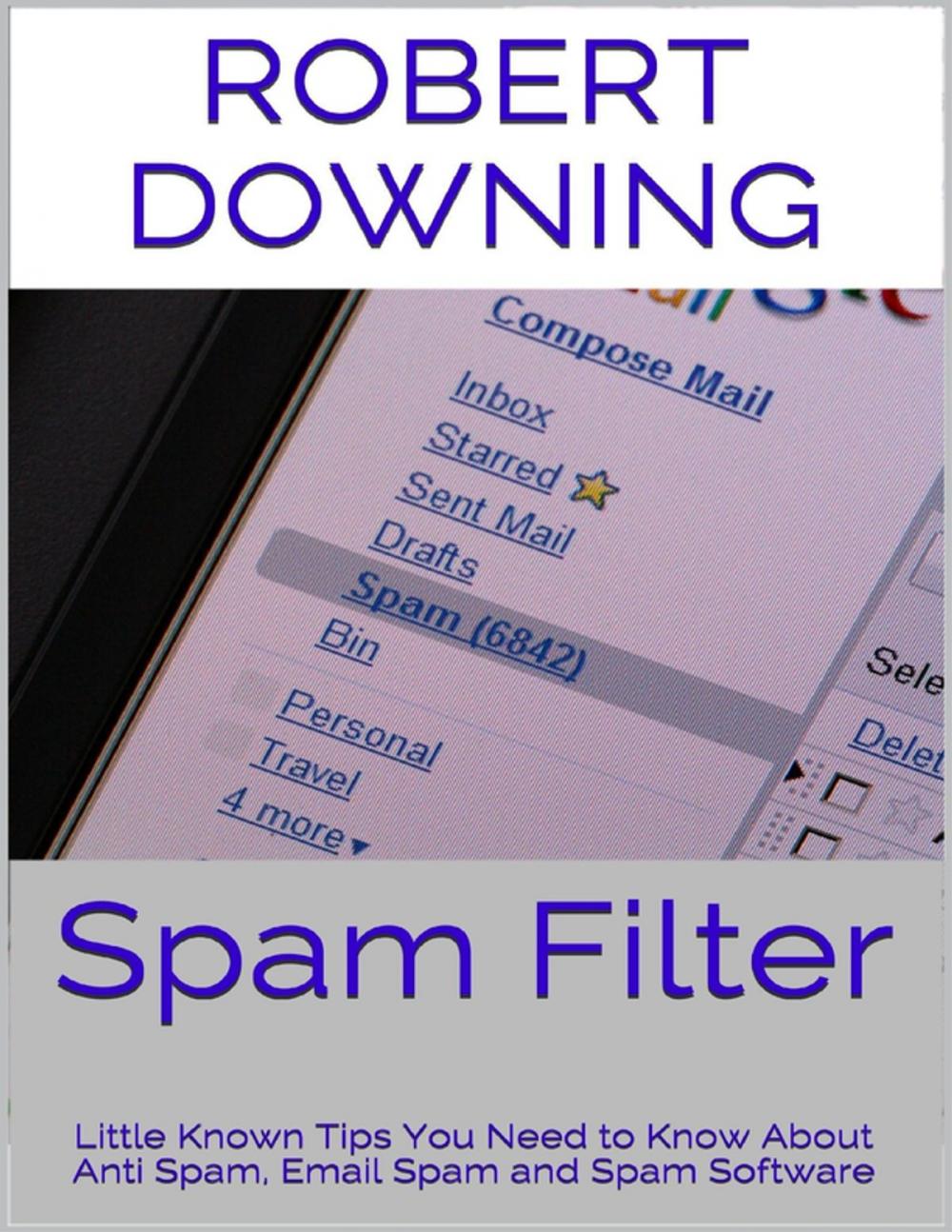 Big bigCover of Spam Filter: Little Known Tips You Need to Know About Anti Spam, Email Spam and Spam Software