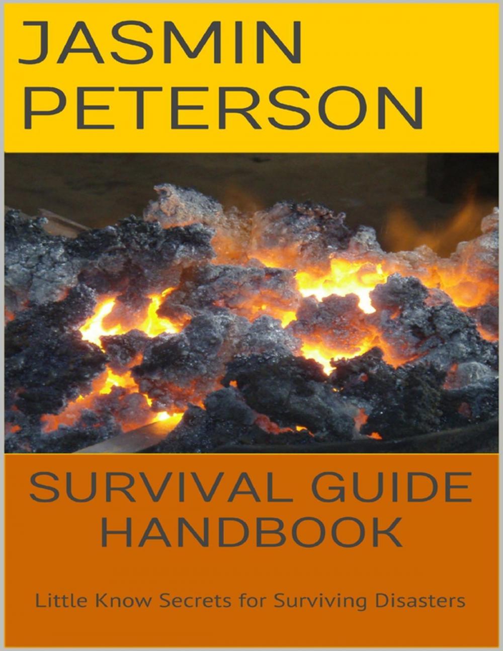 Big bigCover of Survival Guide Handbook: Little Know Secrets for Surviving Disasters