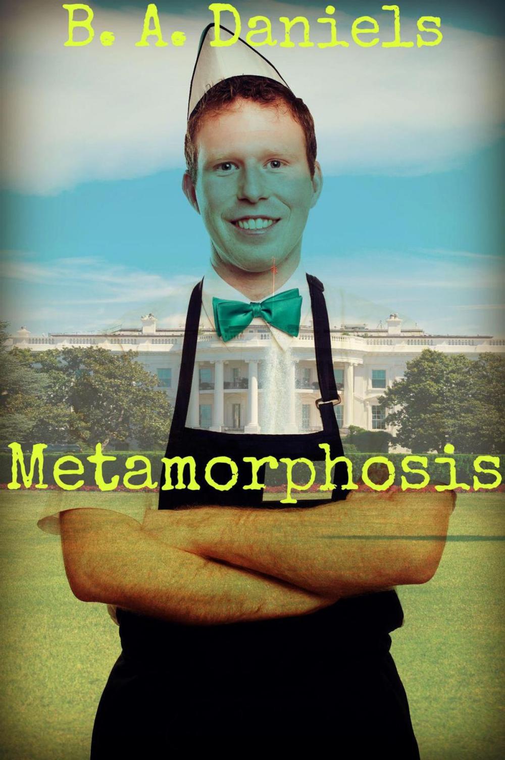 Big bigCover of Metamorphosis