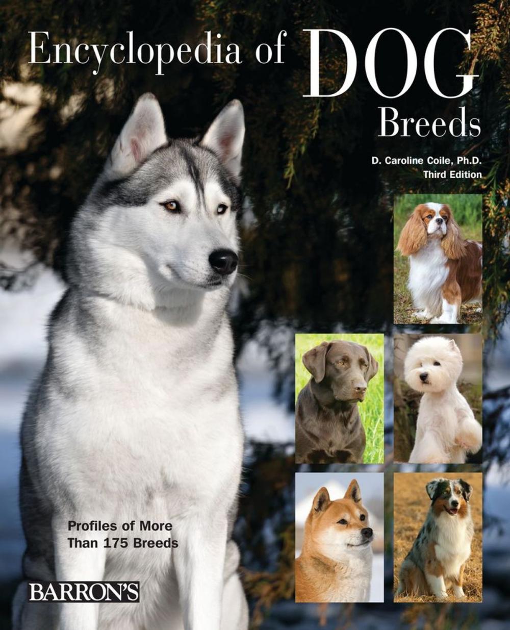 Big bigCover of Encyclopedia of Dog Breeds