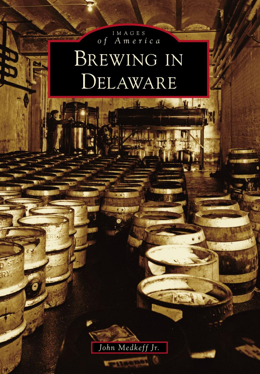 Big bigCover of Brewing in Delaware