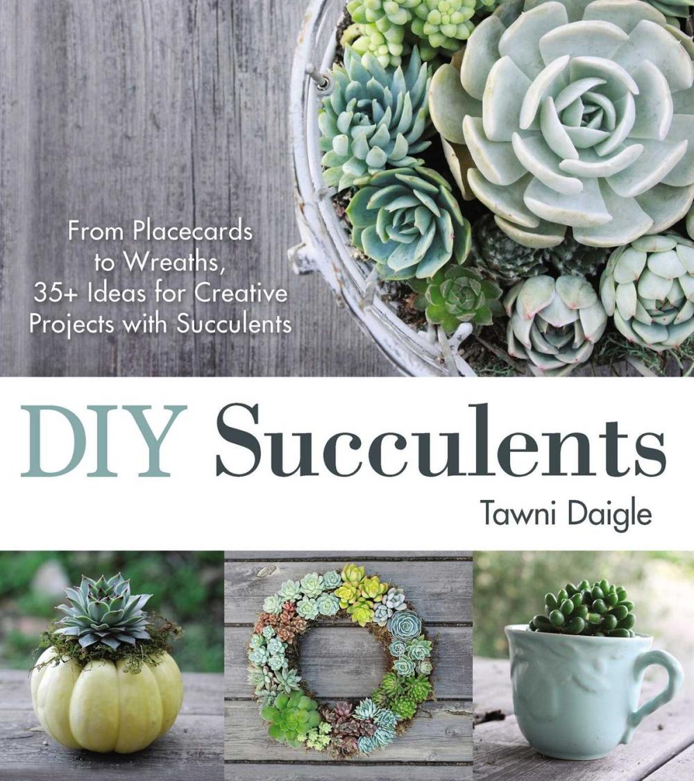 Big bigCover of DIY Succulents