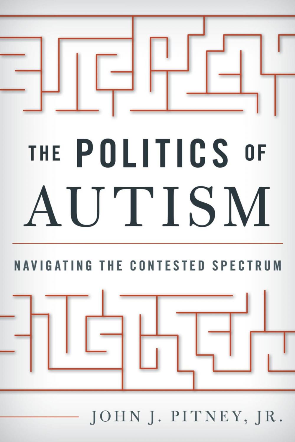 Big bigCover of The Politics of Autism