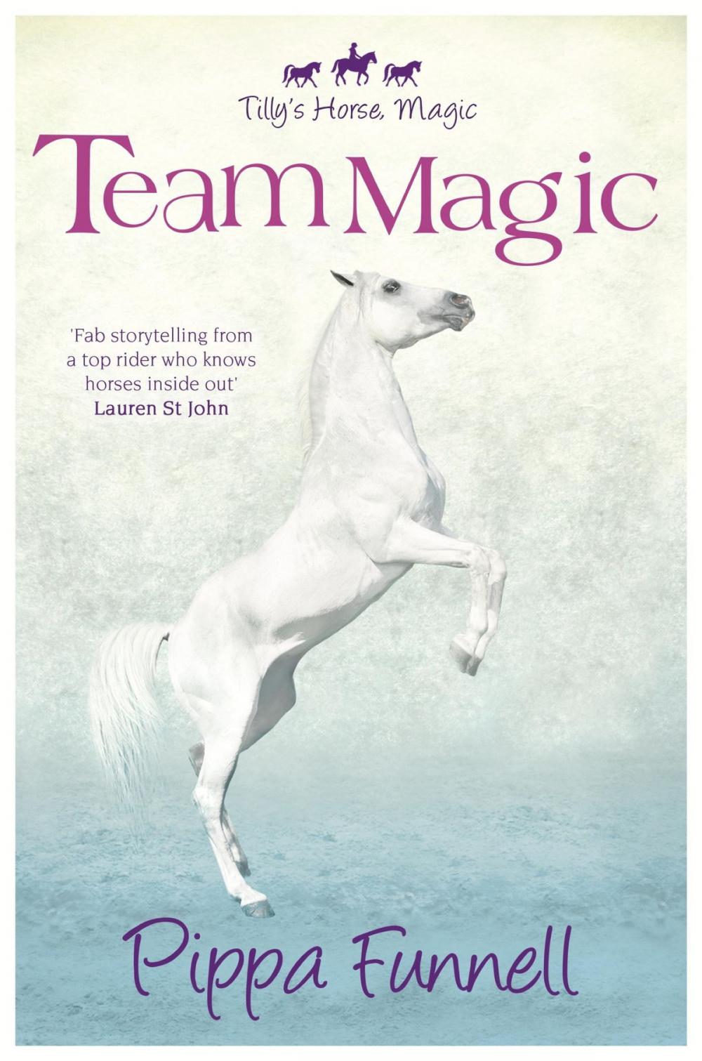 Big bigCover of Team Magic