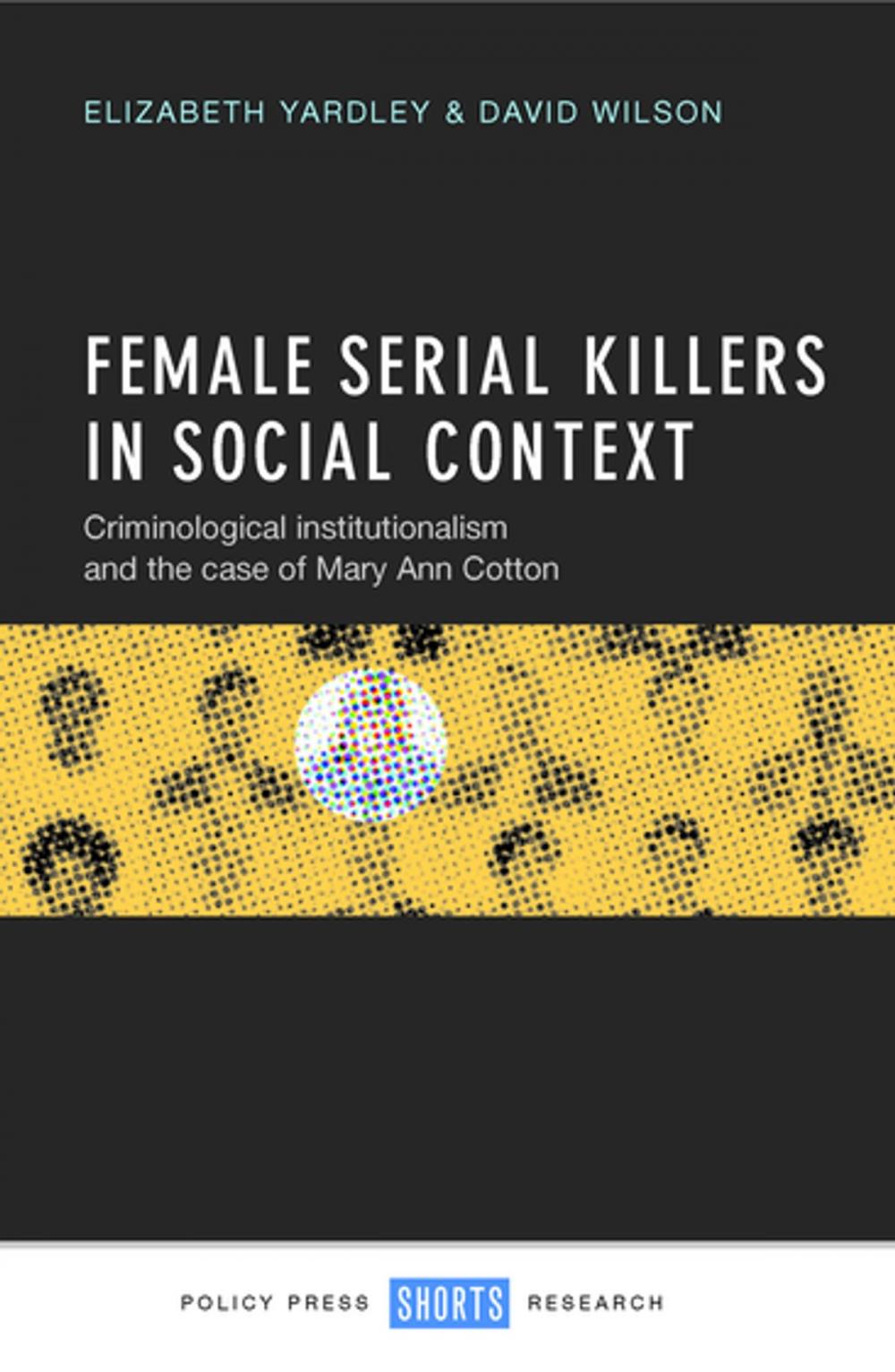 Big bigCover of Female serial killers in social context