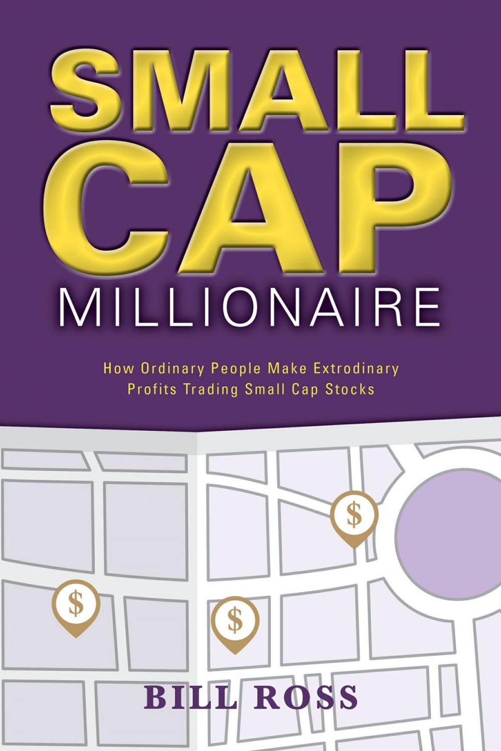 Big bigCover of Small Cap Millionaire