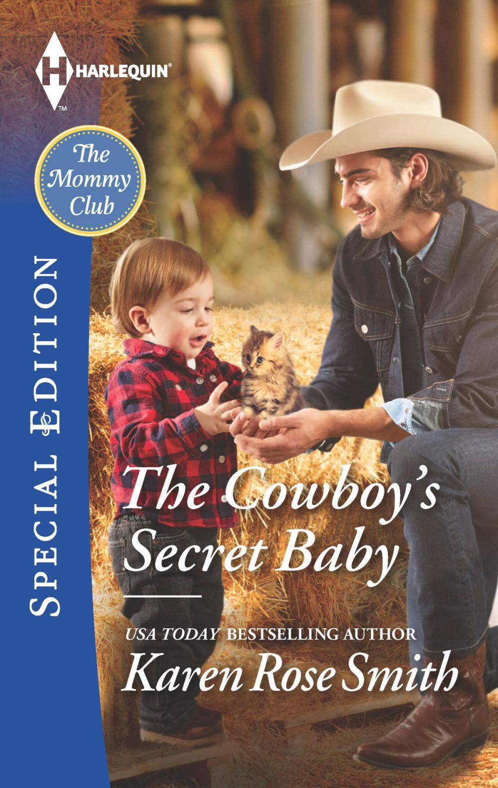 Big bigCover of The Cowboy's Secret Baby