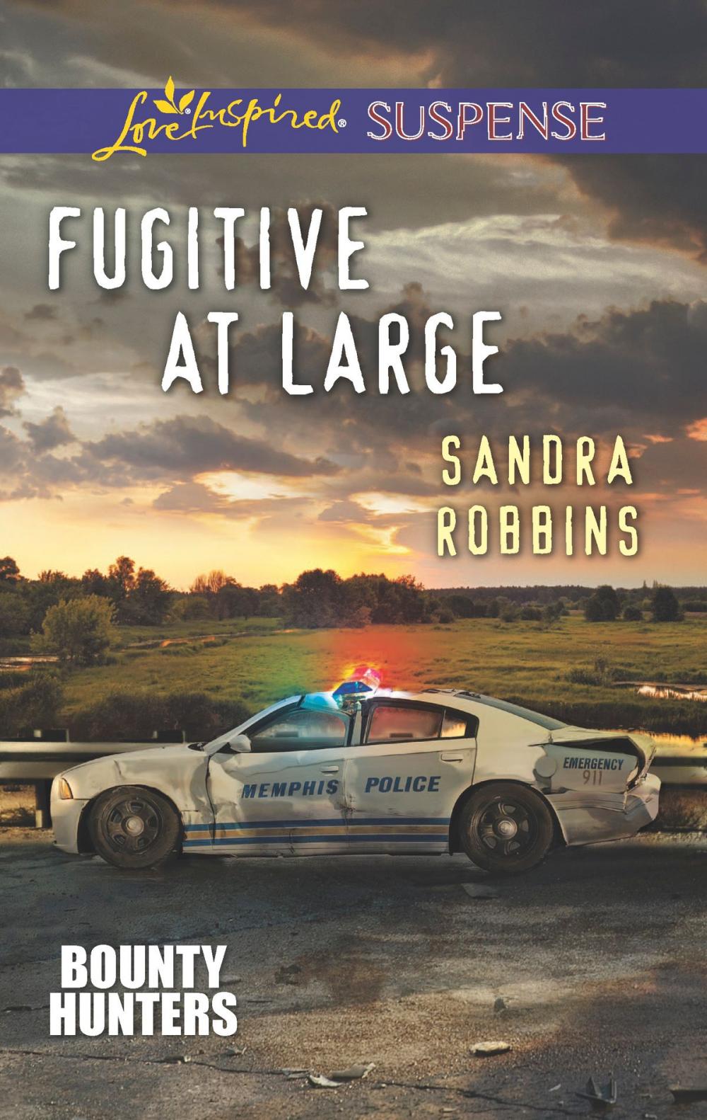 Big bigCover of Fugitive at Large