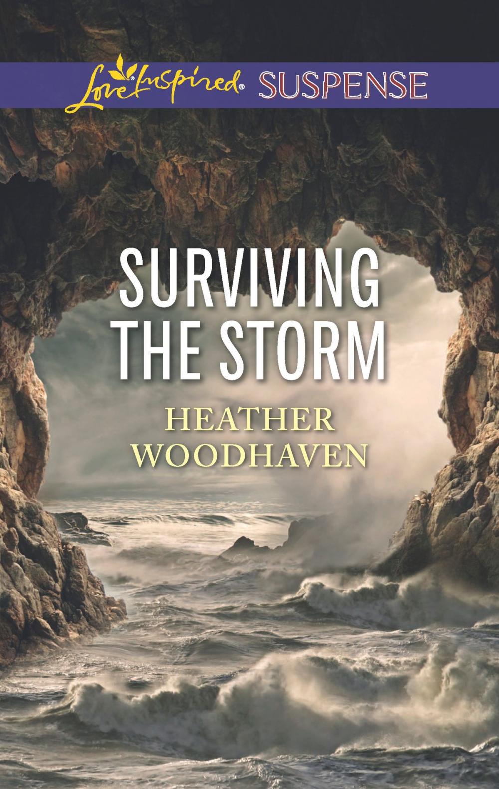 Big bigCover of Surviving the Storm