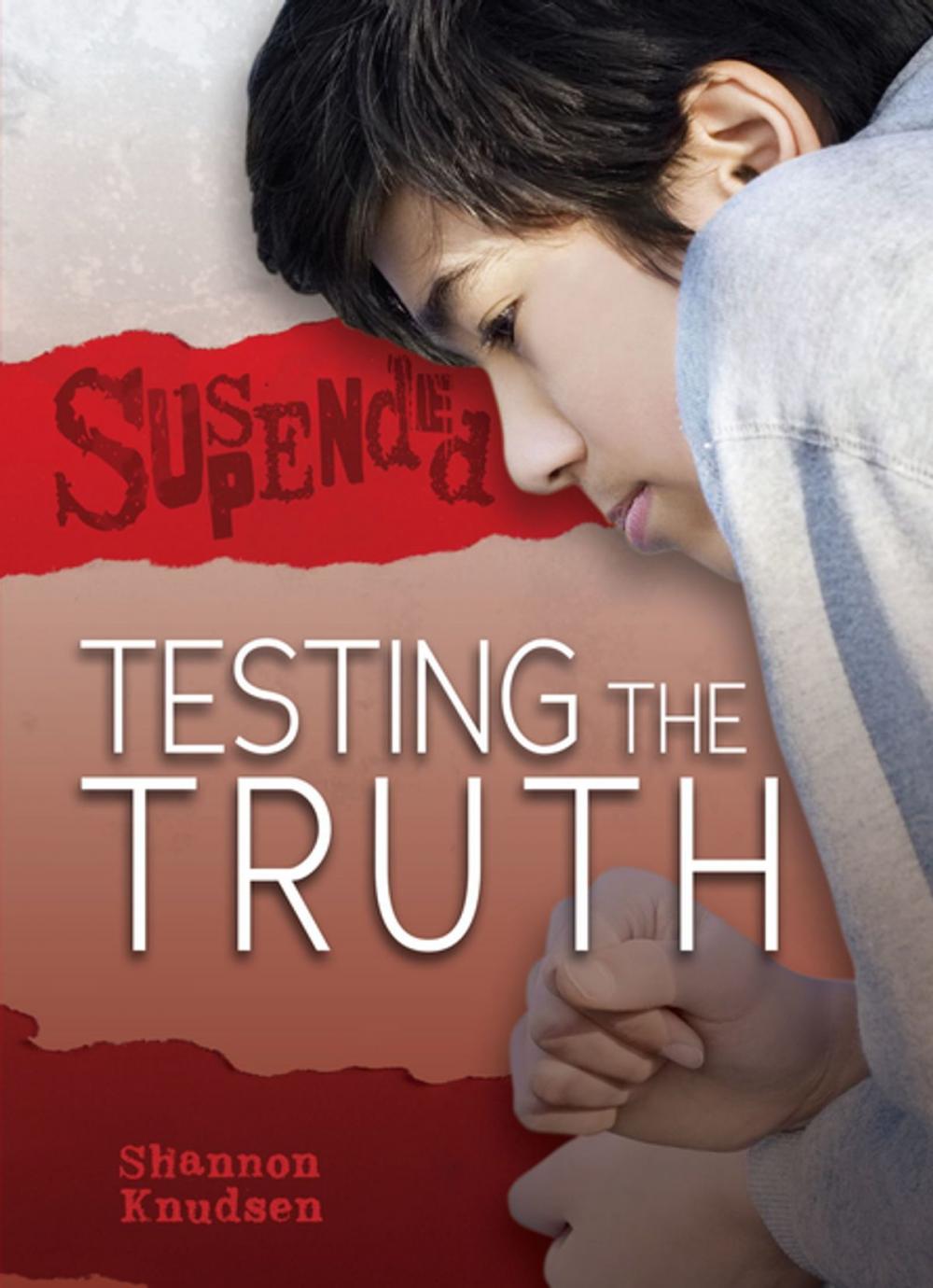 Big bigCover of Testing the Truth